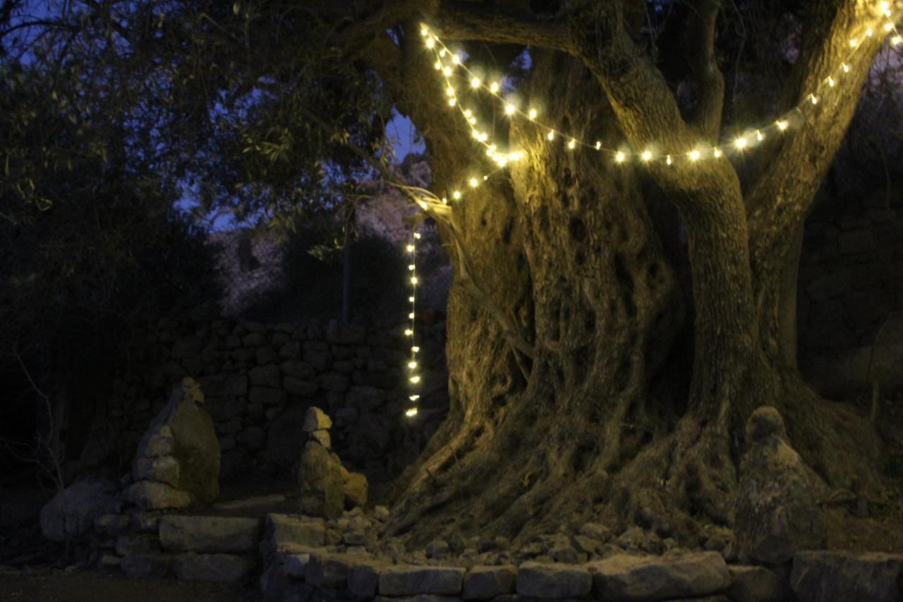Hobbit Village ดานา ภายนอก รูปภาพ