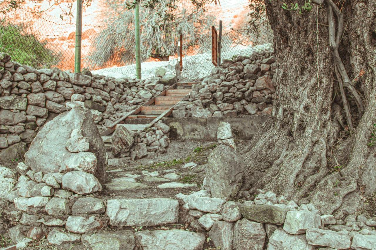 Hobbit Village ดานา ภายนอก รูปภาพ